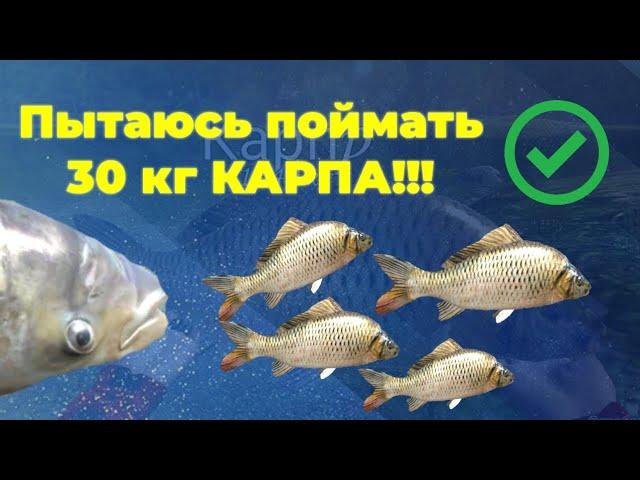 Выполняю ЗАДАНИЕ на КАРПА!!! | Ultimate Fishing Simulator