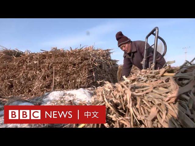 中國東北「鏽帶」的養老金危機－ BBC News 中文