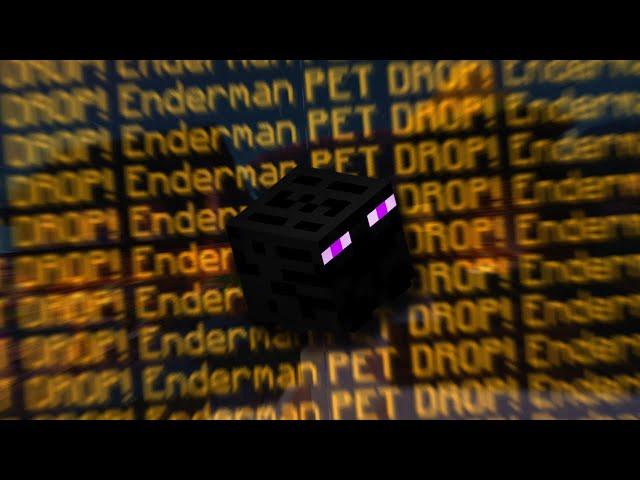 I FINALLY GOT THE LEGENDARY ENDERMAN PET! Hypixel Skyblock