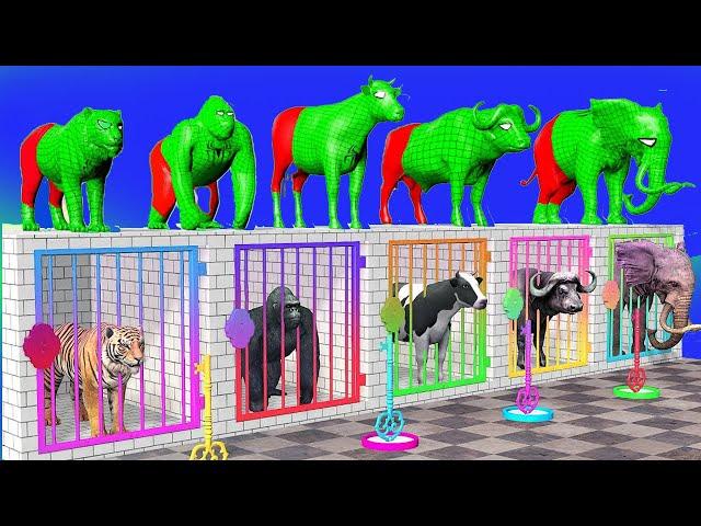 Cow Elephant LION Animation Gorilla Guess The Right Key | ESCAPE ROOM CHALLENGE Animals Cage Game