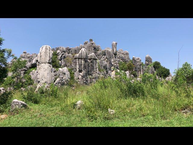 Stone Forest Scenic Area, Yunnan Province, China