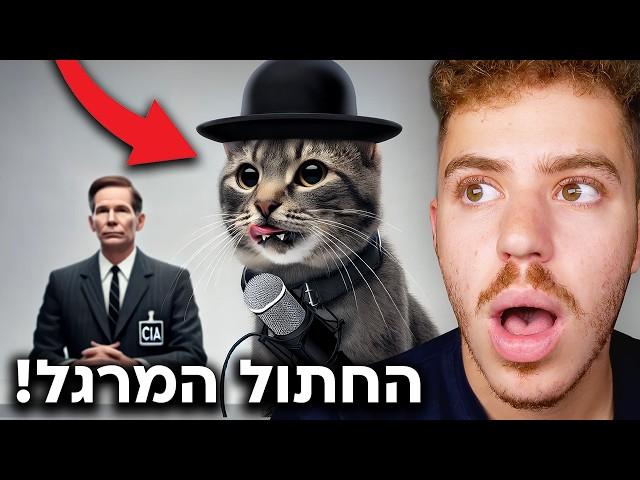 הפכו חתולים למרגלים? (הניסוי הצבאי המוזר בהיסטוריה!)