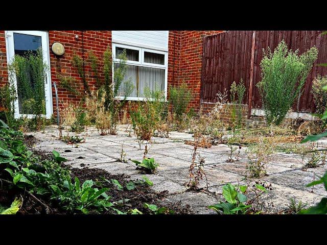 Feeling Trapped By RAMPANT Weed Growth On NEGLECTED Patio - *GARDEN TRANSFORMATION*