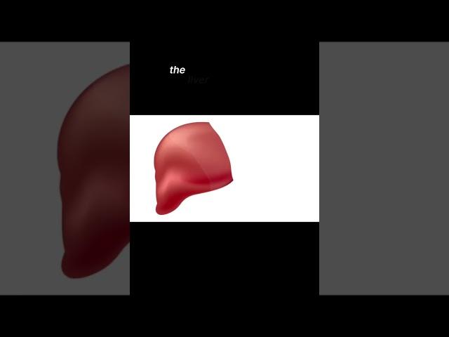 The Superpower of the Liver #shorts
