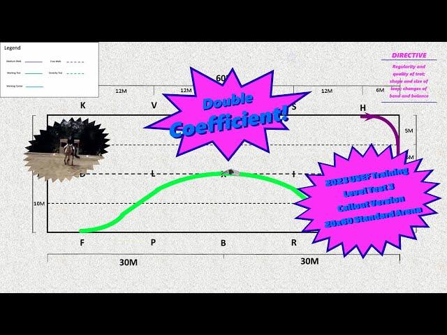 2023 USEF Training Level Test 3 Callout Version (20x60 Arena)