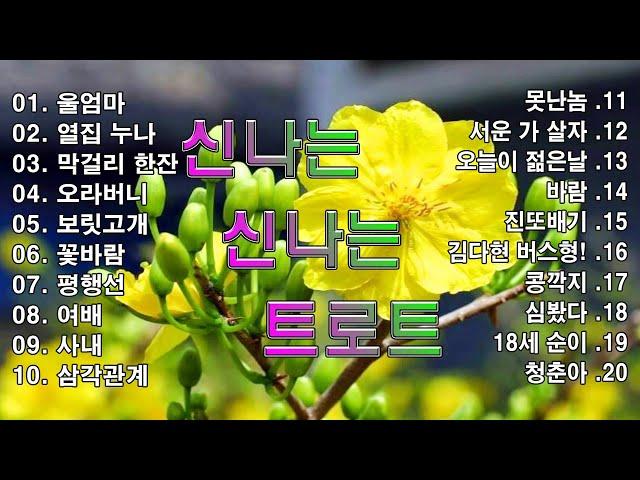 신나는 신나는 트로트 | KPOP [ TROT ] | PLAYLIST( 꽃길.상사화.여인의 눈물.회룡포.바람길...)