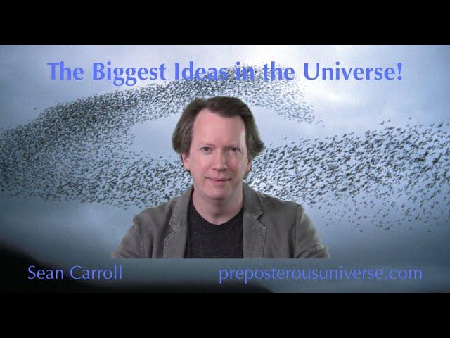 The Biggest Ideas in the Universe | 21. Emergence