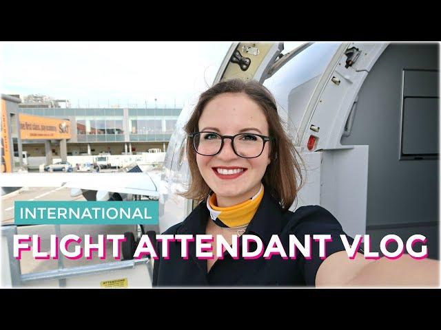 3 Day Trip to CHARLOTTE + Yearly License Recurrent I International Flight Attendant Life I Vlog 49