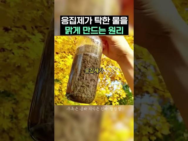 응집제가 탁한 물을 맑게 만드는 원리