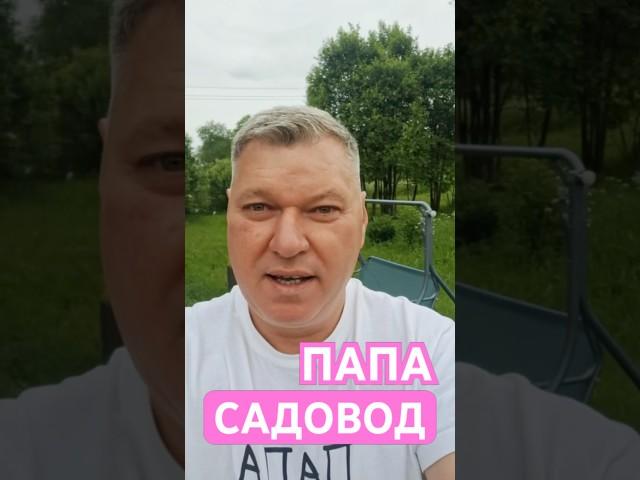 Папа не только в декрете, но еще и садовод #папавдекрете #юмор #отцовство #отец #летнийотдых