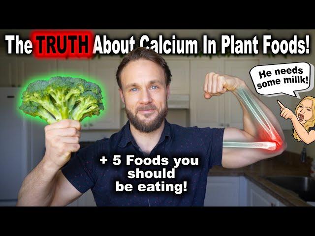 Top 5 Calcium Rich Plant Foods 