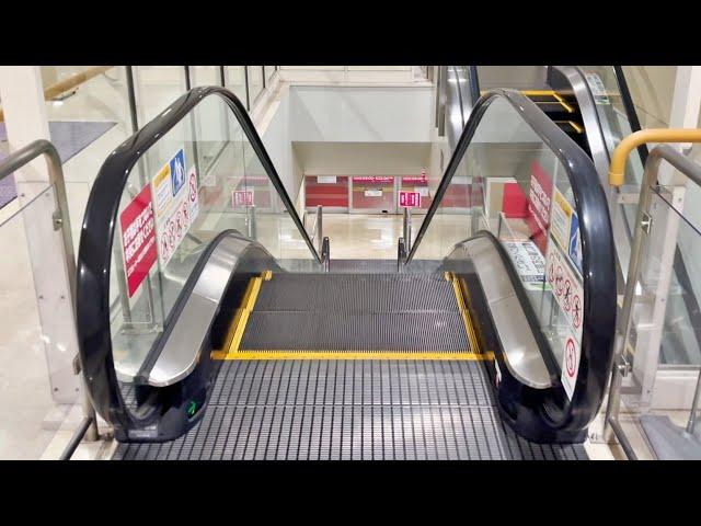 【起動ありエスカレーター】イオンモール東久留米 ノースコート下り【FUJITEC】Escalator,AEON MALL Higashikurume North Court