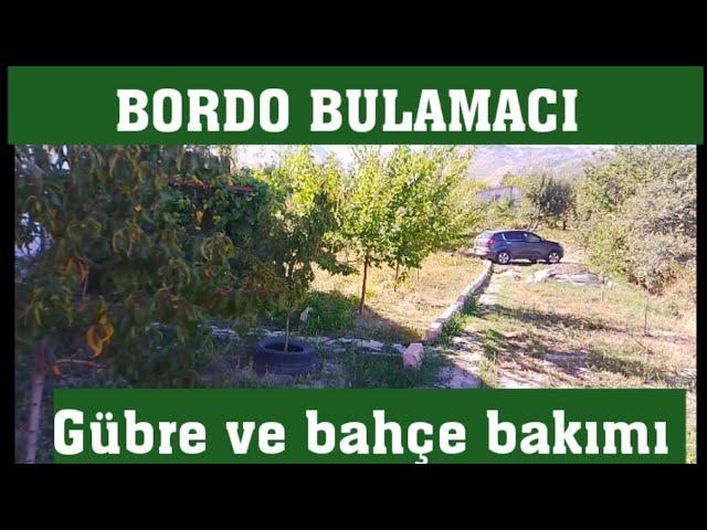 Kış öncesi ağaç ve bahçe bakımı ne yapılmalı #bahçe #köy #çiftçi #doğa #doğal #garden #gardening