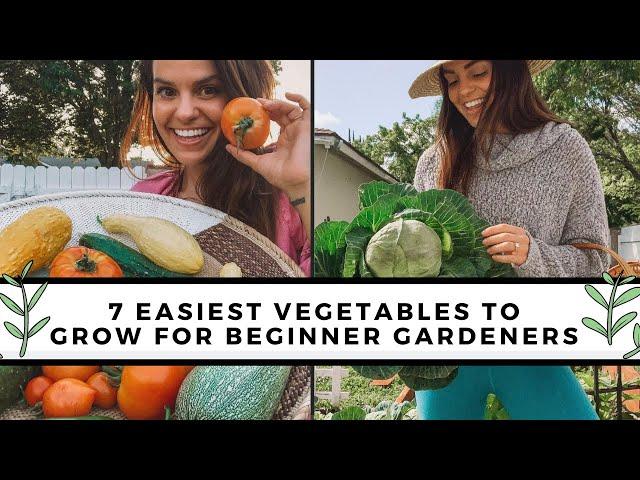 7 Easiest To Grow Vegetables For Beginners | Gardening 101