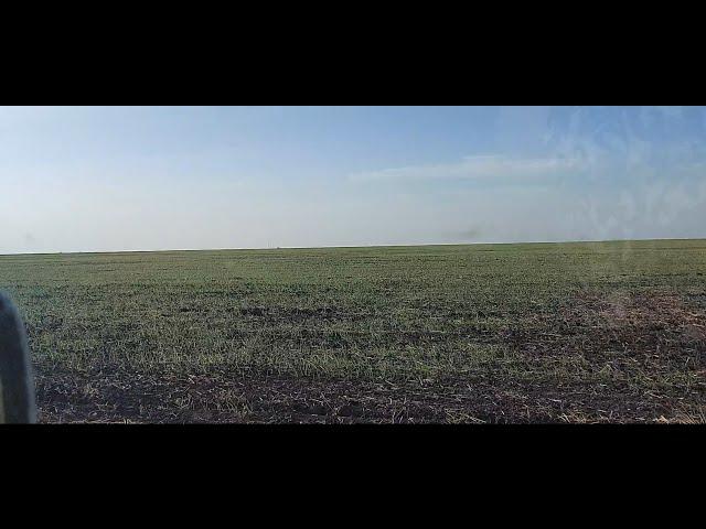 Жизнь в селе#Казахстан#Съездили на поле,посмотреть всходы.
