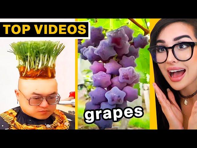 Cool Things You've Never Seen Before | SSSniperWolf