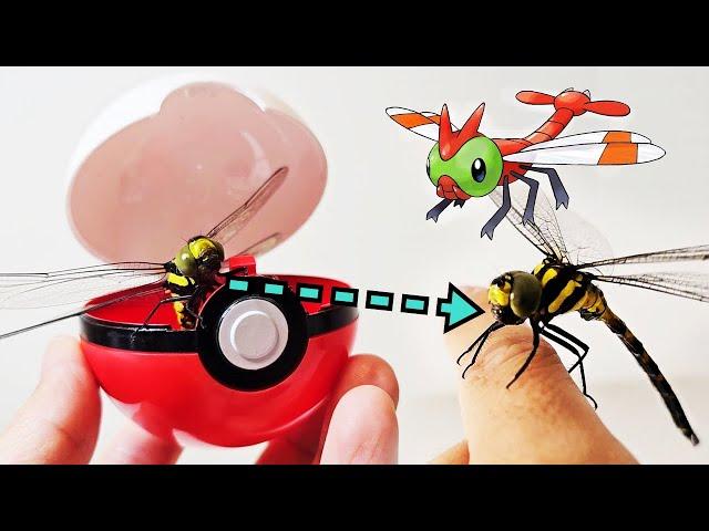 Pokemon in Real Life 3 : The Super Powerful Dragonfly, Yanma Appears!