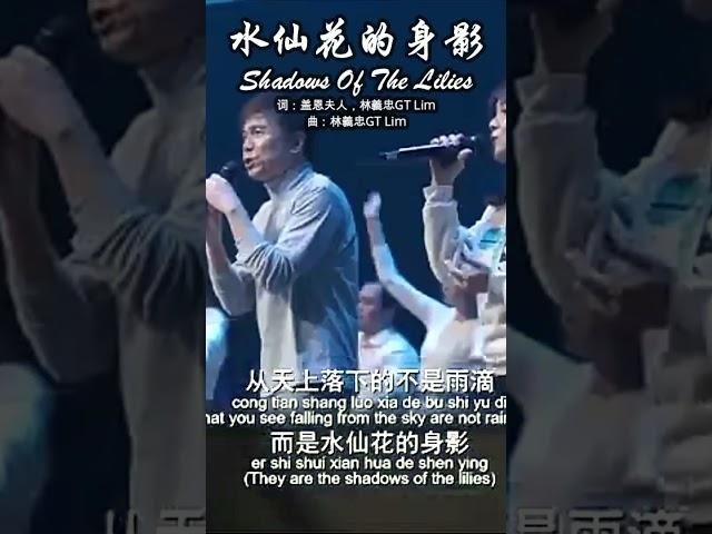 水仙花的身影 Shadows Of The Lilies #Shorts #https://www.youtube.com/watch?v=yZ0BiEBRr48