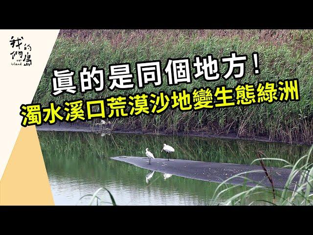 濁水溪河口的生態綠洲｜脫離「攪飯配沙」的日子(我們的島第1209集 2023-06-19)