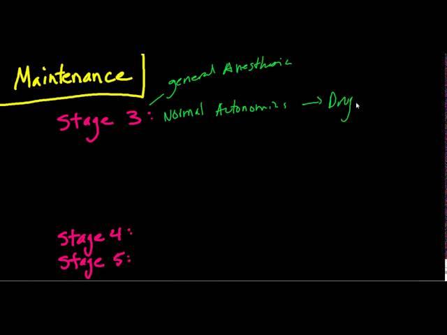 The Stages of Anesthesia: The Basics (Guedel's Classificaiton)