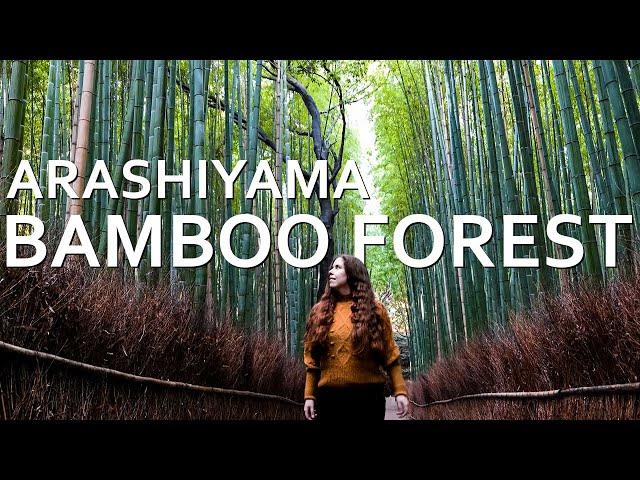 Alone in the Arashiyama Bamboo Forest | Kyoto Travel Vlog