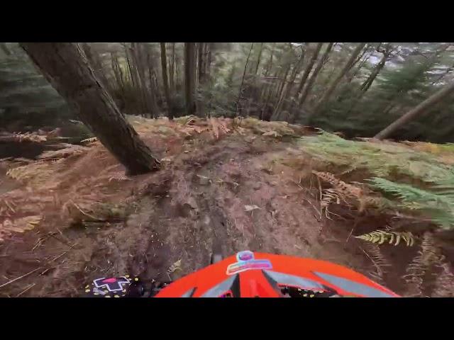 Autumn Ebike Blast ️️ Hamsterley Forest on the Mondraker Crafty