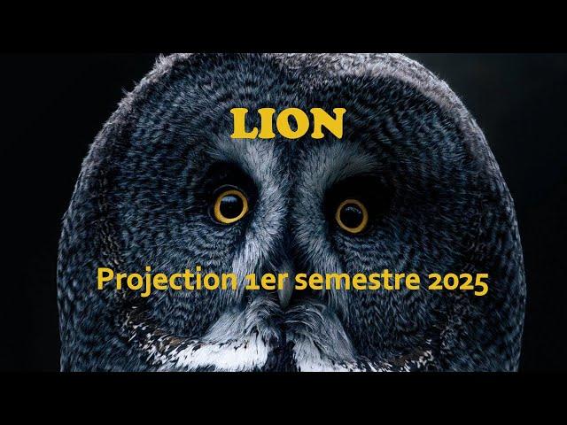 LION - Projection 1ère partie 2025