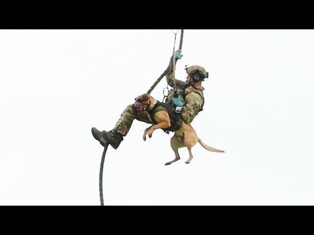 High flying NY State Police K9 loves rappelling out of helicopters