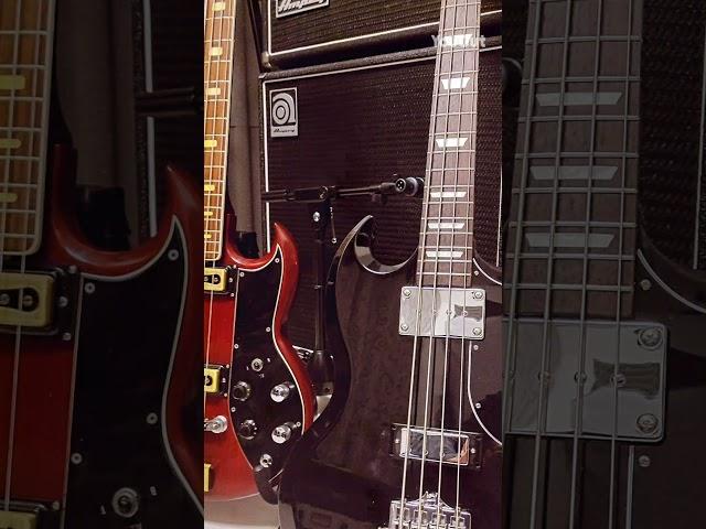 Bass Vintage Style #fender  #gibson #ampeg #shorts