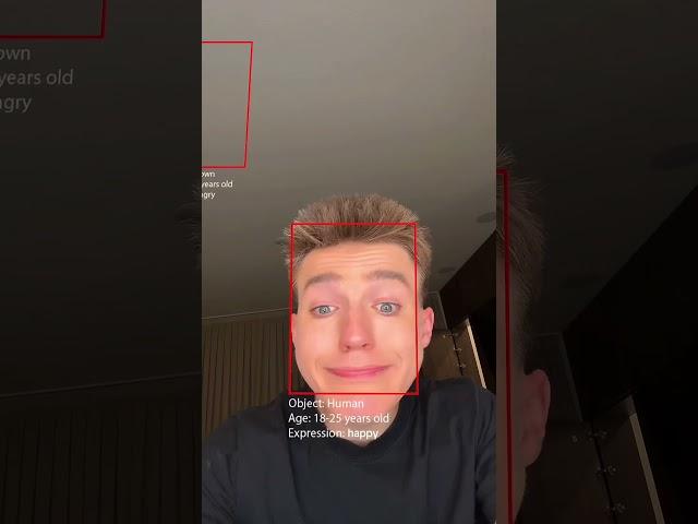 The Face Detect Filter 