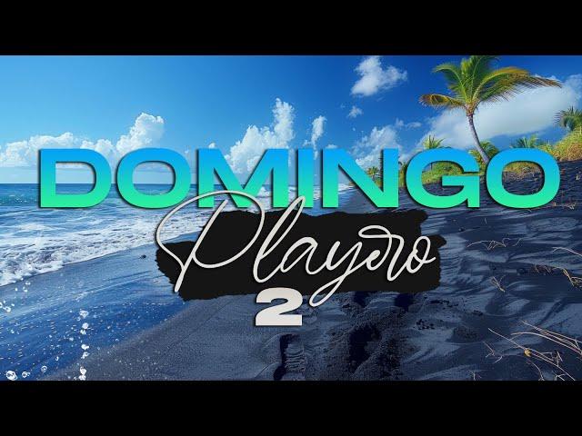 DOMINGO PLAYERO 2 | ECUADORIAN REMIX (Disco, Merengue, Reggaeton, Cumbia) DELAYZER DJ