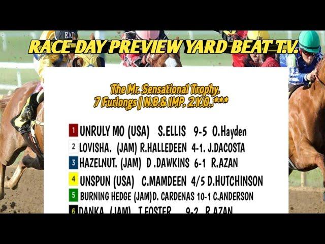 RACE DAY PREVIEW | YARD BEAT T.V. Saturday November 30.2024