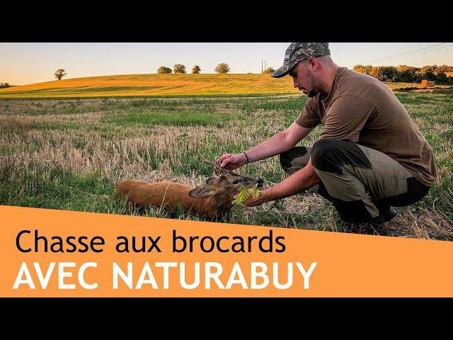 INÉDIT  ! Chasse à l'approche du brocard avec l'équipe de NaturaBuy