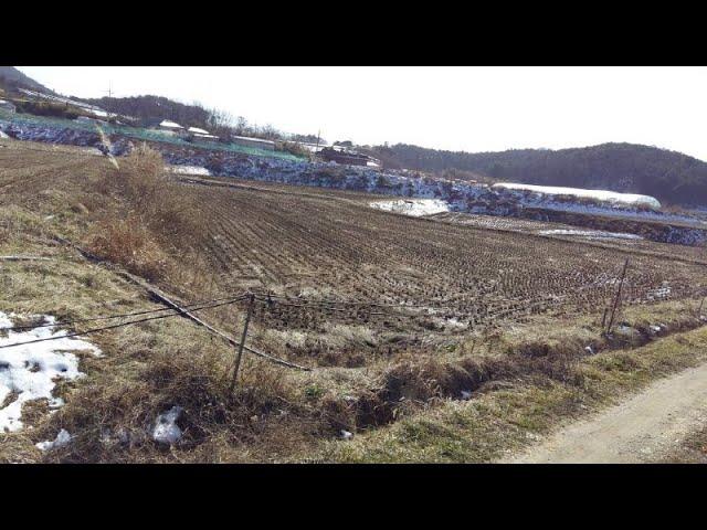 [번호 386250] 충남 홍성군 광천읍 토지매매 농지급매매 시골땅급매물 귀농귀촌부지매도 땅모양좋은 계획관리지역 농로접 전봇대앞 면적:3,084㎡ 매:8천3백만원 부동산직거래