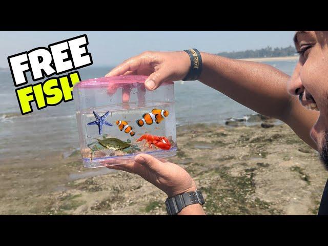 CATCHING SALTWATER FISH & CRABS !!!