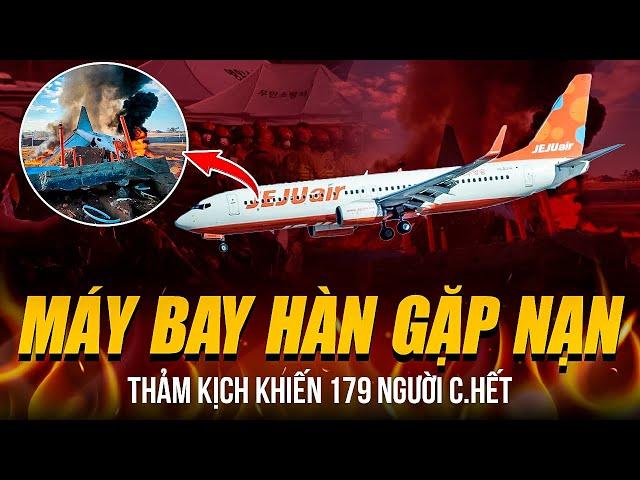 THẢM KỊCH MÁY BAY HÀN QUỐC GẶP NẠN 179 NGƯỜI C.HẾT | VA PHẢI CHIM VỠ NÁT - CHỈ 2 NGƯỜI SỐNG SÓT