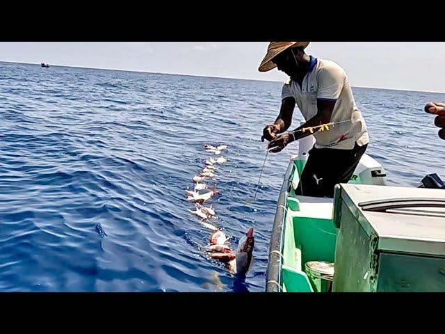 Deep Sea Fishing for Rosy Snapper