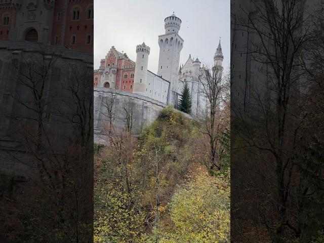 #neuschwanstein #castle #germany #travel #europe #tour #2024