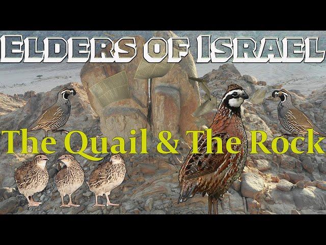 ELDERS OF ISRAEL: THE PARABLE OF THE QUAIL AND THE ROCK EXPLAINED WITH PRECEPTS #BIBLEONLY #EOI