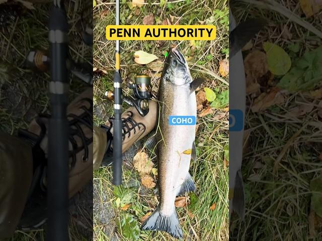 COHO! Penn Authority 4500 on the river!