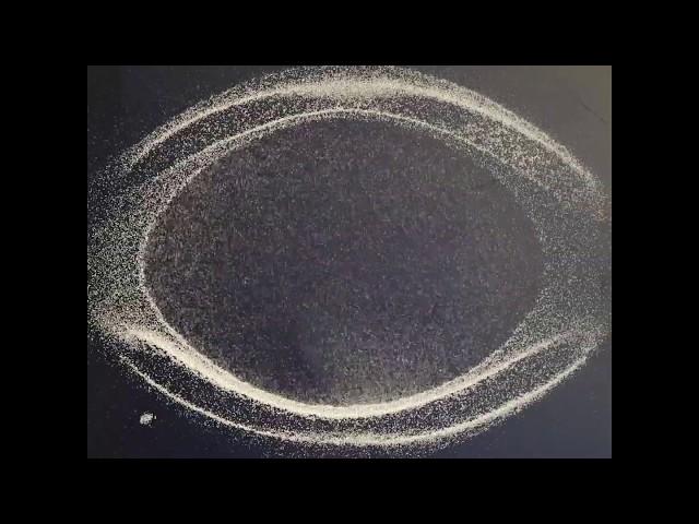 Bringing matter to life with sound! - Cymatics CHLADNI Patterns Forming from various Frequencies