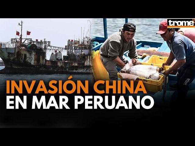 PESCA ILEGAL en Perú: ¿Qué se sabe de las FLOTAS CHINAS? | Trome