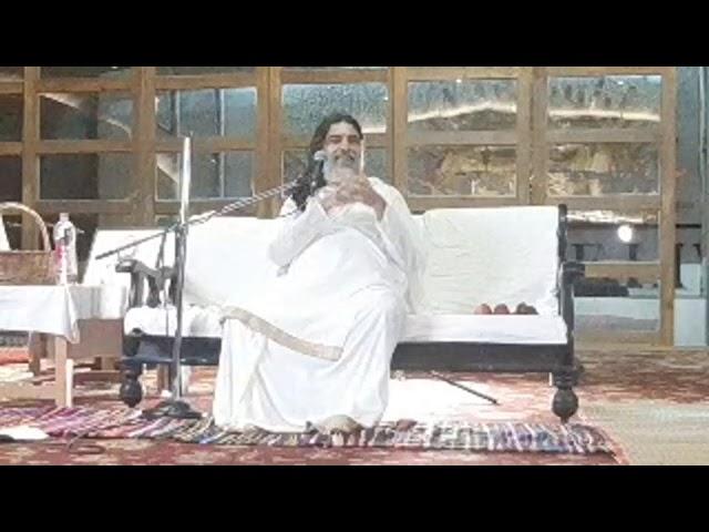 Navaratri 2021 | Rudrapuja With Rishi Nityapragya Ji & Brahmachari Chirag ji | Triveni Ashram