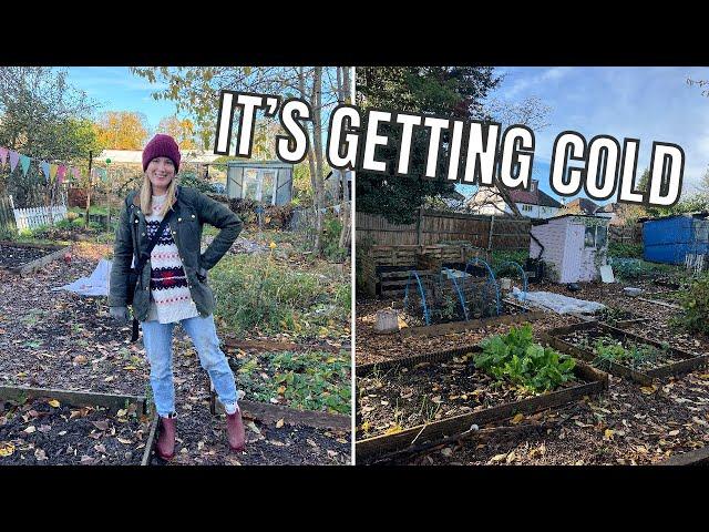 PROTECTING THE ALLOTMENT FROM FROST / ALLOTMENT GARDENING UK