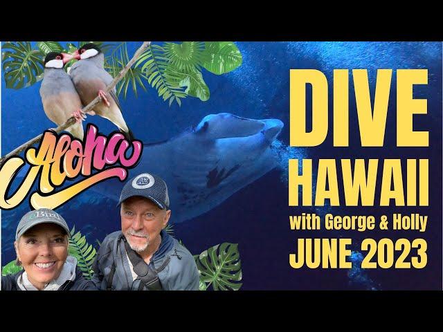 Dive Hawaii with George & Holly