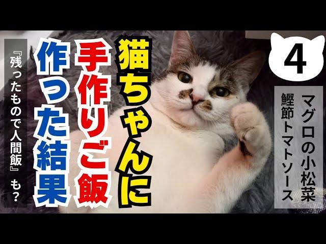 【手作りﾆｬﾝｺご飯ﾚｼﾋﾟﾁｬﾝﾈﾙ】【残ったﾆｬﾝｺご飯をｱﾚﾝｼﾞして人間飯】【愛猫と自分のご飯を同時に作ろう‼️】#手作り#猫#猫ご飯#野良猫#保護猫#猫カフェ#犬#ペット#らーめん#cat