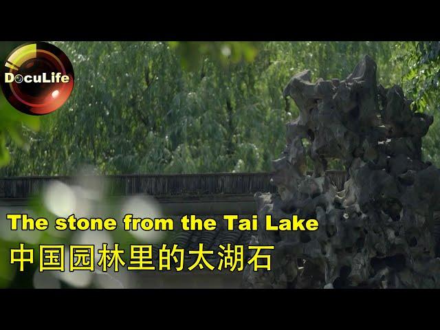 The stone from the Tai Lake中国园林里的太湖石