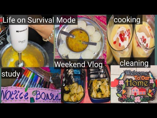 survival mode पर चल रही है जिंदगी । weekend vlog। live life easy।