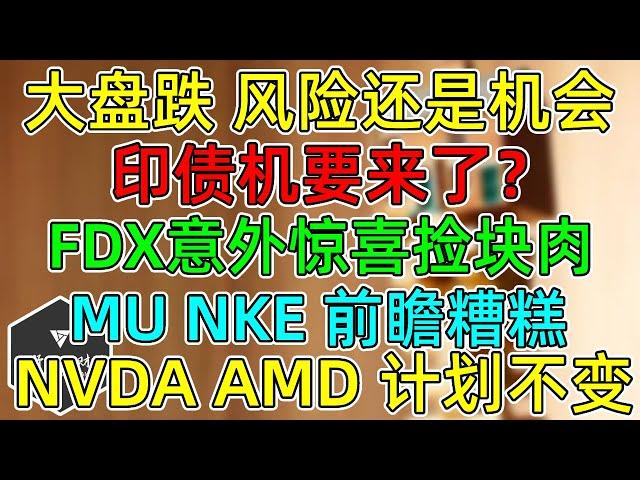 美股 大盘下跌，风险还是机会？FDX意外惊喜捡块肉！MU、NKE前瞻糟糕！