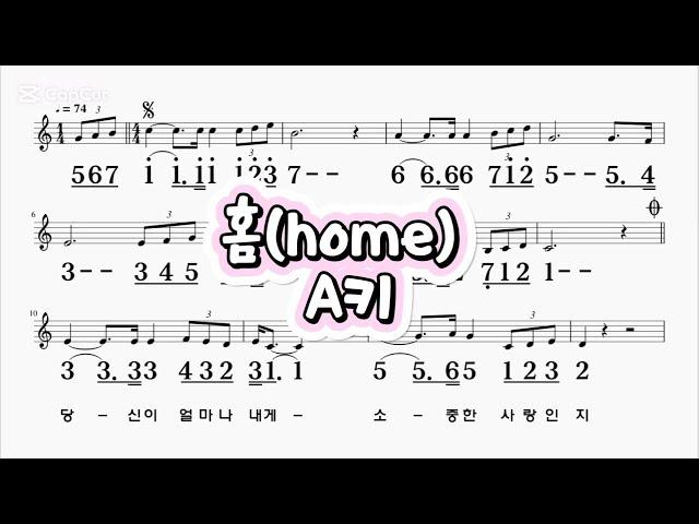 홈(home) 임영웅 A키 하모니카 악보 영상